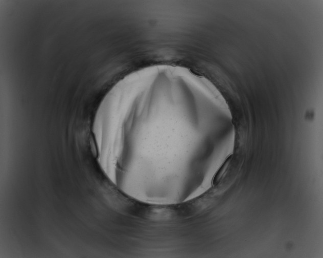 X0000101170376200807181429