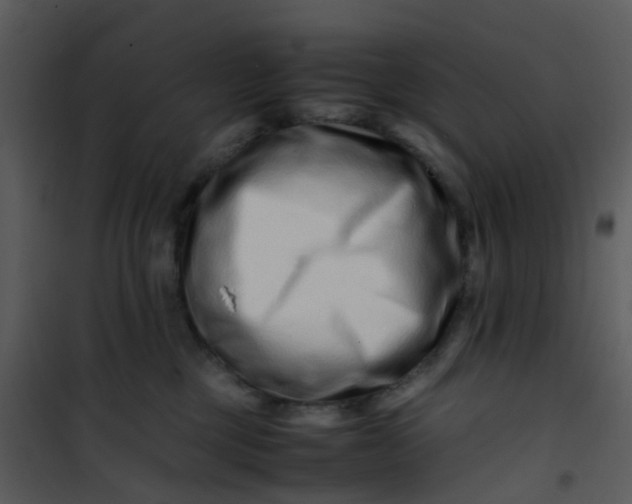 X0000101170377200807181429