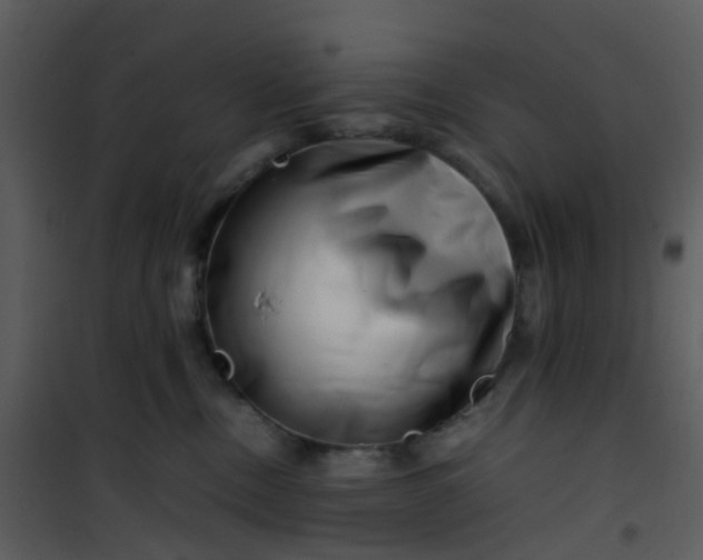 X0000101170378200807181429