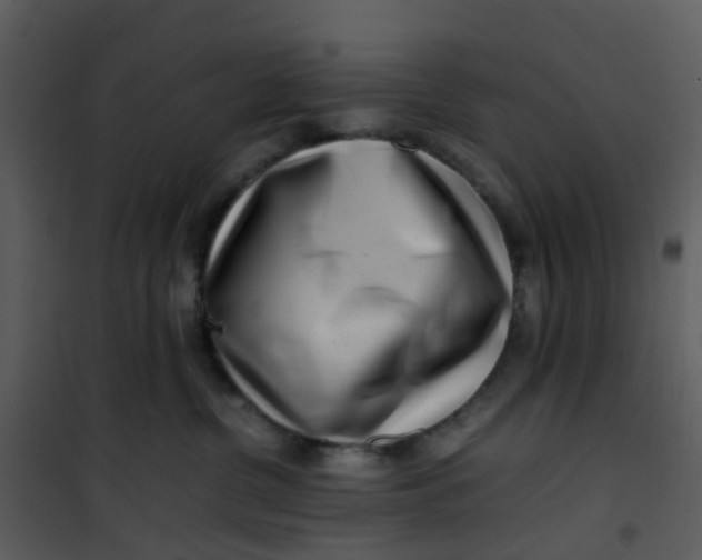 X0000101170380200807181429