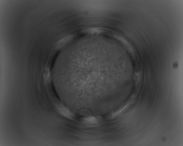 X0000101170381200807181429