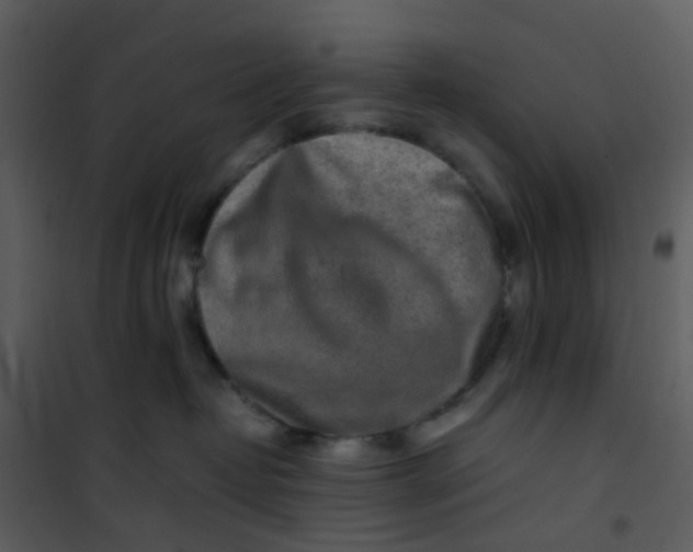 X0000101170382200807181429