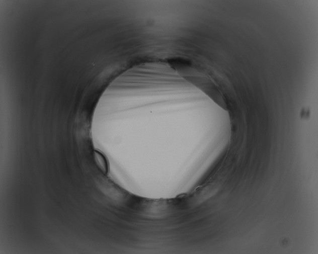 X0000101170384200807181429