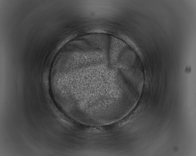 X0000101170386200807181428