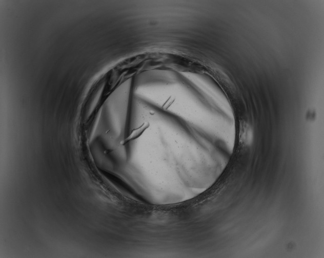 X0000101170388200807181428