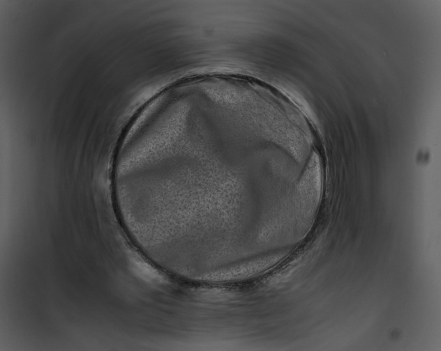 X0000101170389200807181428