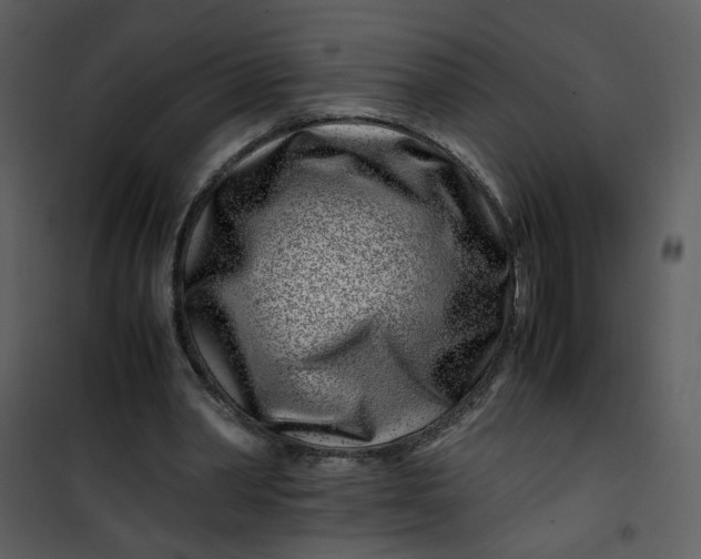 X0000101170390200807181428