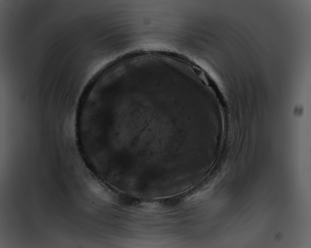 X0000101170391200807181428