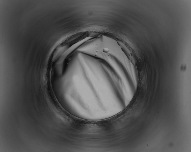 X0000101170392200807181428