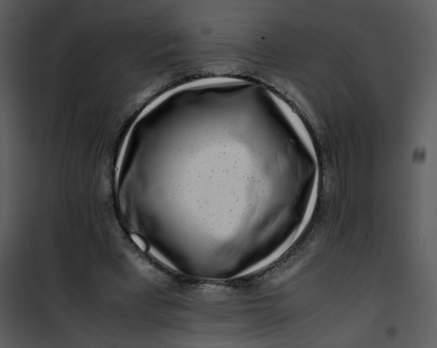 X0000101170393200807181428
