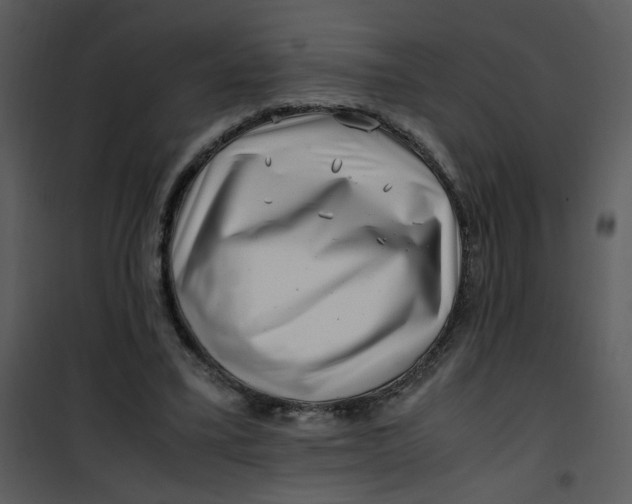 X0000101170395200807181428