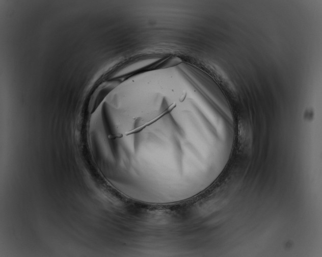 X0000101170396200807181428