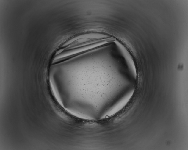X0000101170397200807181428