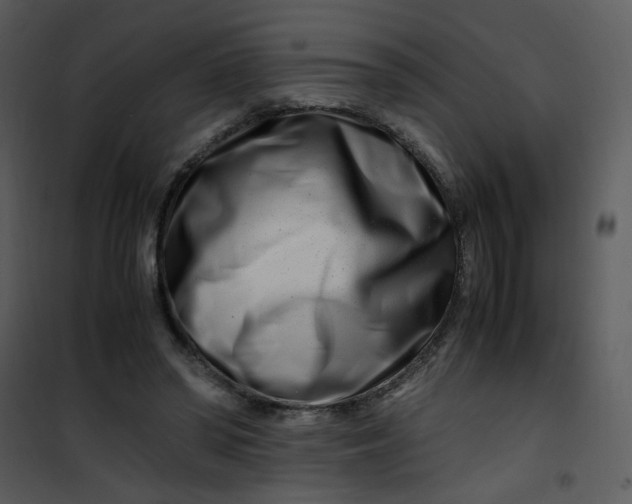 X0000101170398200807181428