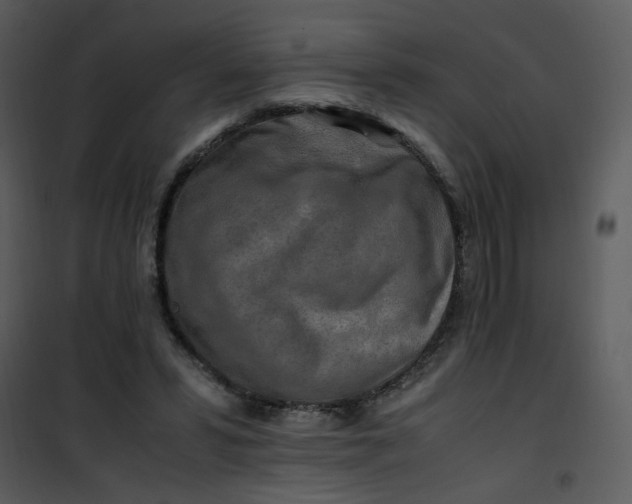 X0000101170399200807181428