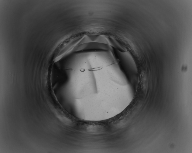 X0000101170400200807181428