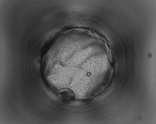 X0000101170402200807181428