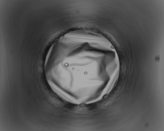 X0000101170403200807181428