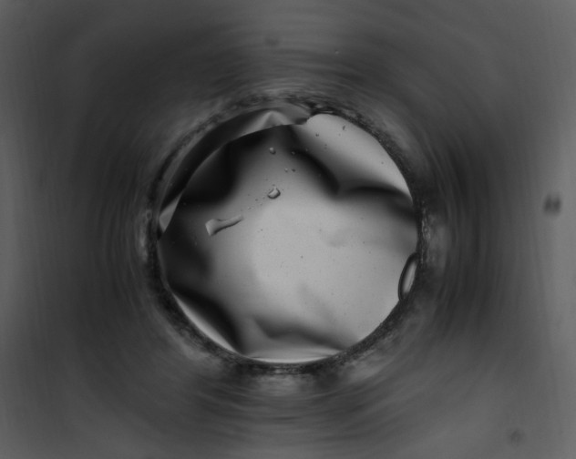 X0000101170404200807181428