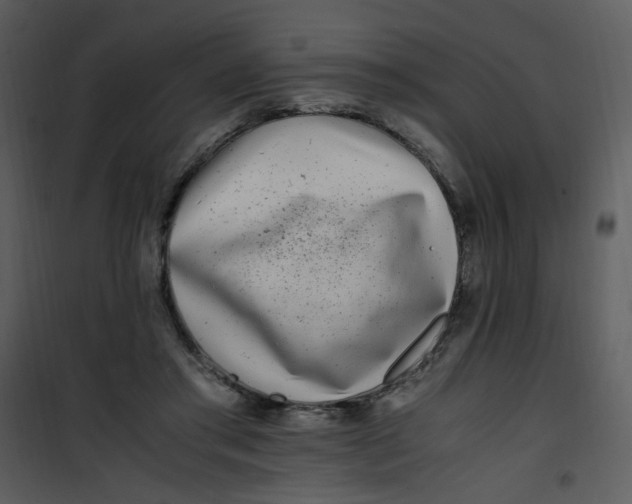 X0000101170405200807181428