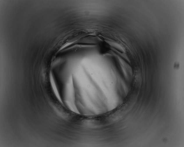 X0000101170408200807181428