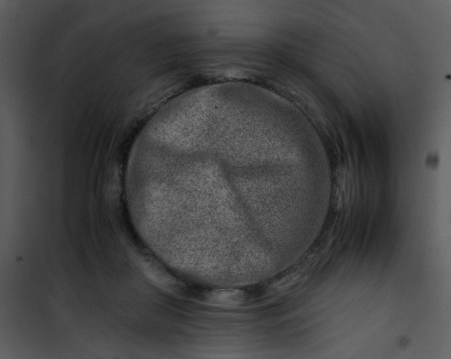 X0000101170410200807181428