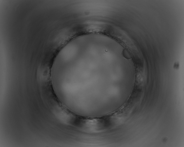 X0000101170411200807181428