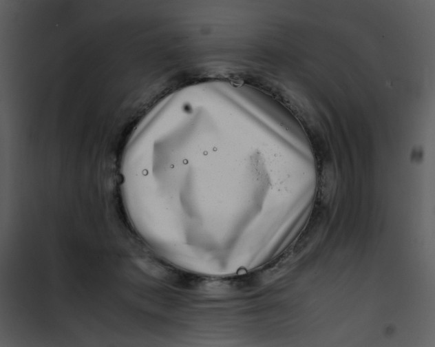 X0000101170413200807181428