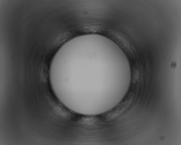 X0000101170414200807181428