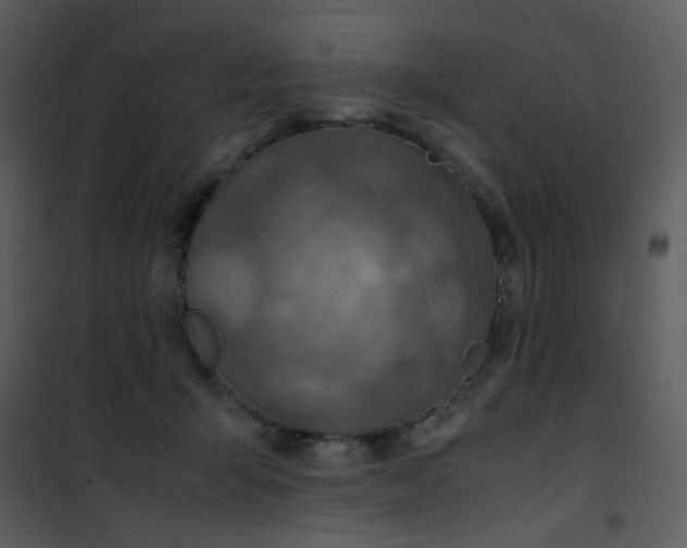 X0000101170415200807181428