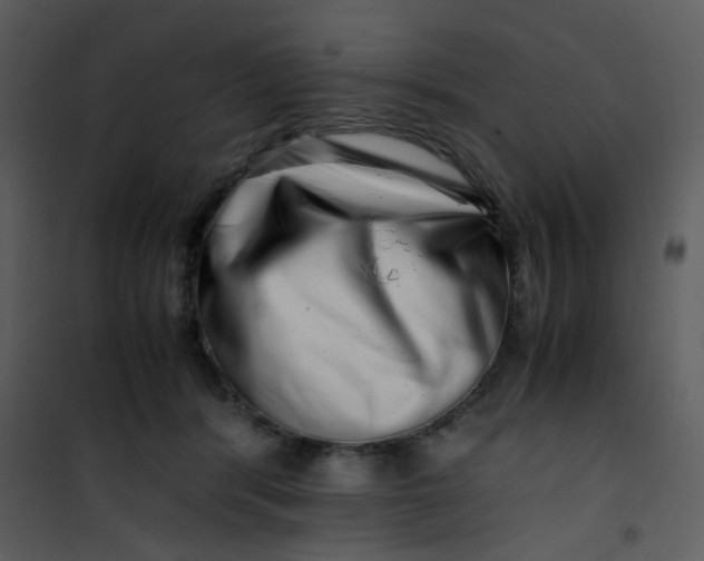X0000101170416200807181428