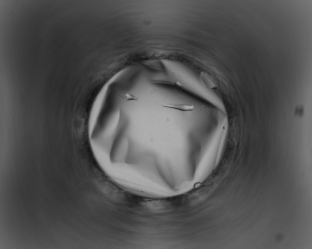X0000101170417200807181428