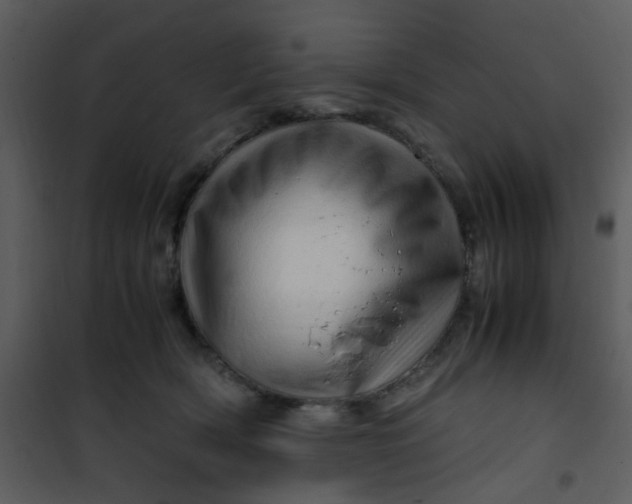 X0000101170418200807181428