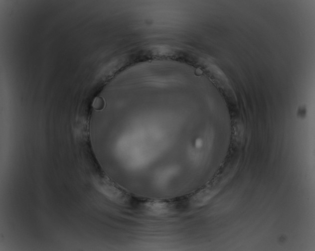 X0000101170419200807181428