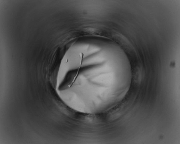 X0000101170420200807181428