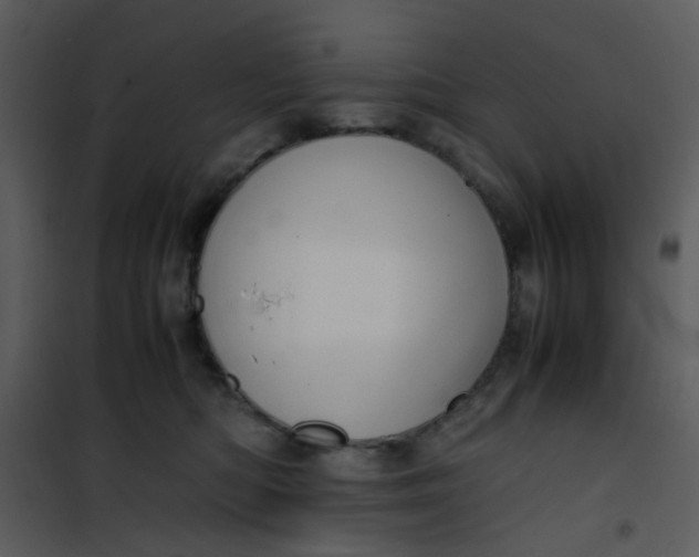X0000101170422200807181428