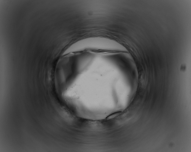 X0000101170424200807181428