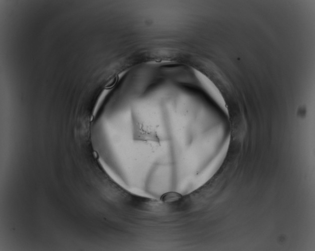 X0000101170425200807181428