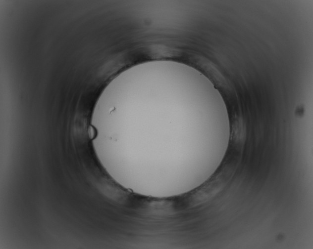 X0000101170426200807181428