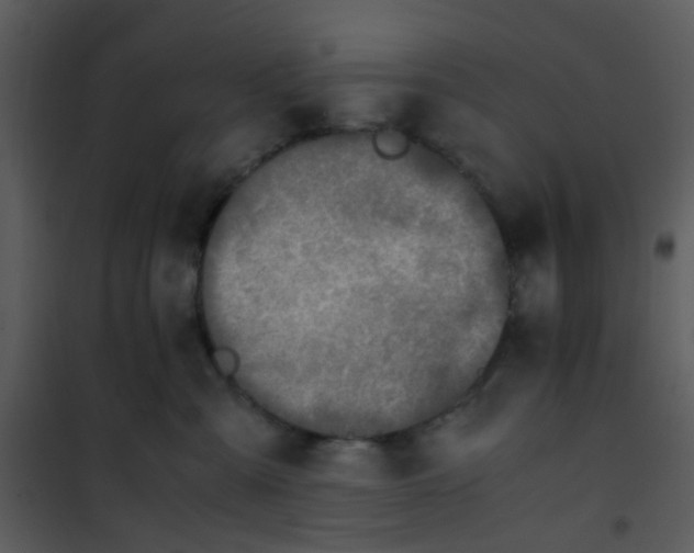 X0000101170427200807181428