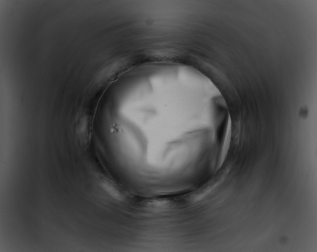 X0000101170428200807181428