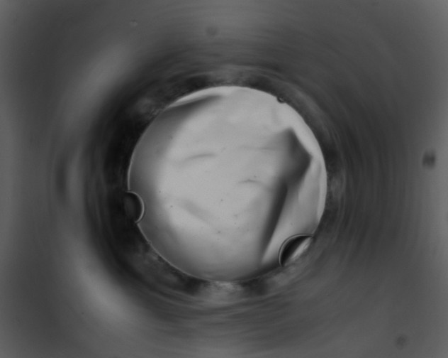 X0000101170429200807181428