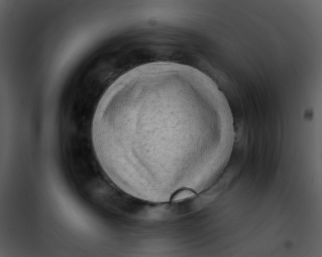 X0000101170430200807181428
