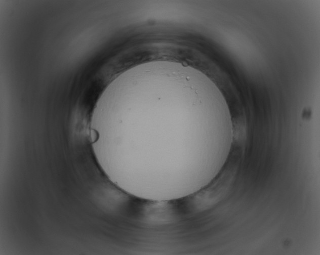X0000101170431200807181428