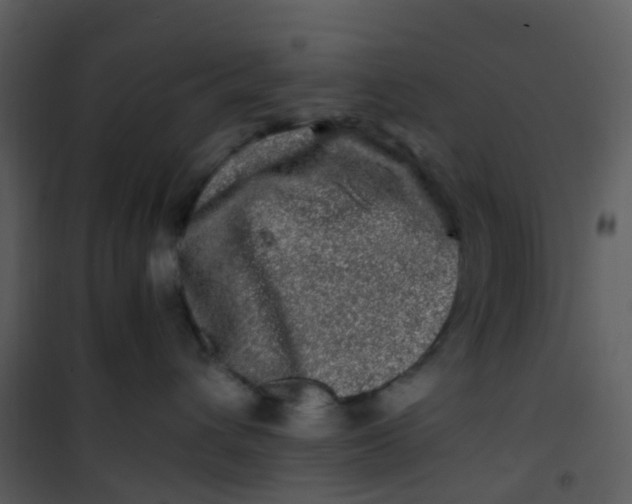 X0000101170432200807181428