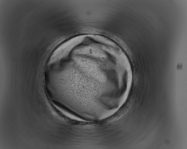 X0000101170433200807181427