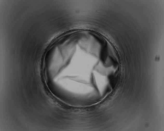 X0000101170434200807181427