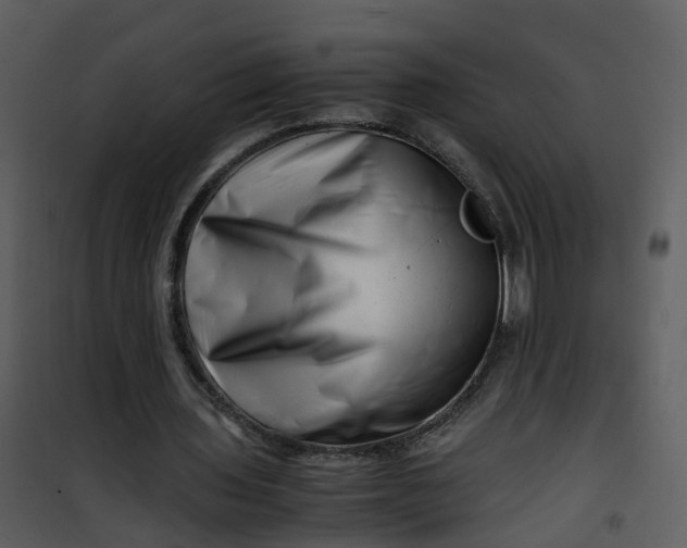 X0000101170435200807181427