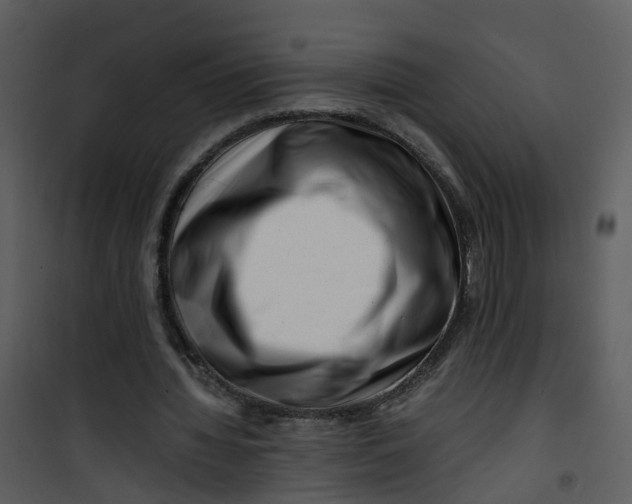 X0000101170436200807181427