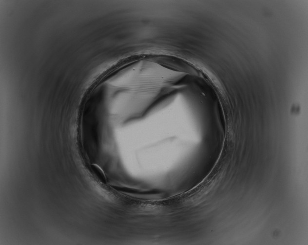 X0000101170437200807181427